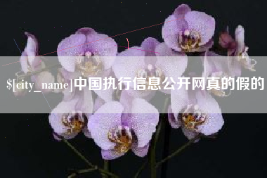 崇左中国执行信息公开网真的假的