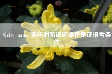 崇左重庆消防设施操作员证报考条件