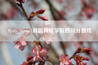 崇左消防救援学院四川分数线
