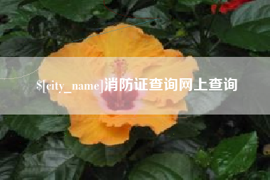 崇左消防证查询网上查询