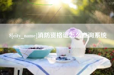 崇左消防资格证怎么查询系统