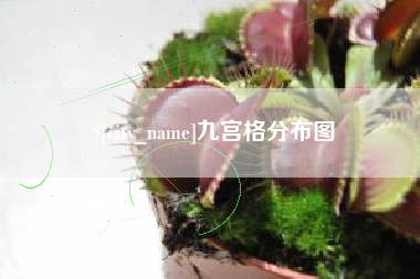 崇左九宫格分布图