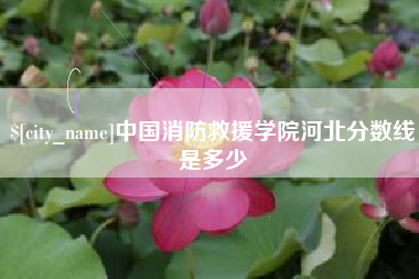崇左中国消防救援学院河北分数线是多少