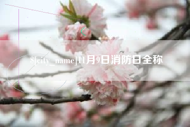 崇左11月9日消防日全称
