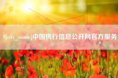崇左中国执行信息公开网官方服务