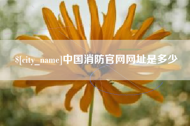 崇左中国消防官网网址是多少