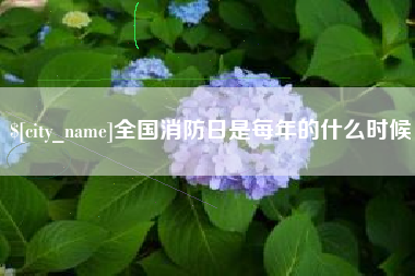 崇左全国消防日是每年的什么时候