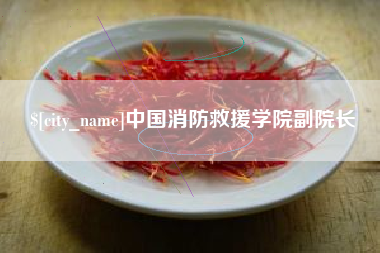 崇左中国消防救援学院副院长