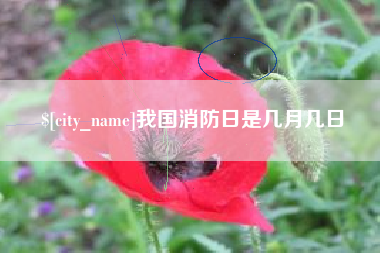 崇左我国消防日是几月几日