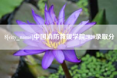 崇左中国消防救援学院2020录取分