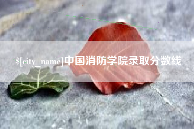 崇左中国消防学院录取分数线