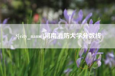 崇左河南消防大学分数线