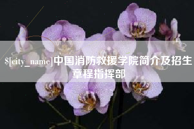 崇左中国消防救援学院简介及招生章程指挥部