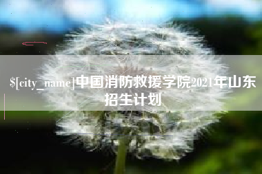 崇左中国消防救援学院2021年山东招生计划