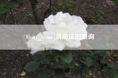 崇左消防证的查询