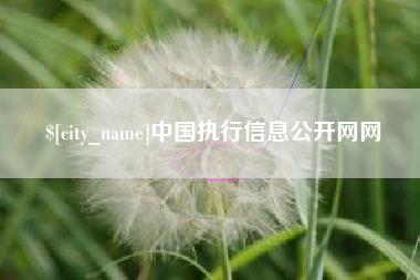崇左中国执行信息公开网网