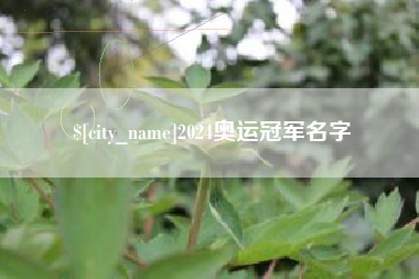 崇左2024奥运冠军名字