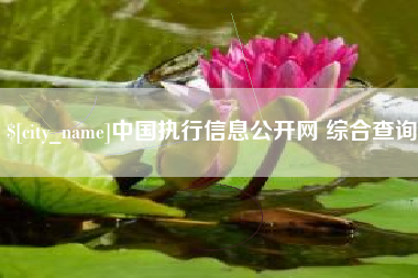 崇左中国执行信息公开网 综合查询
