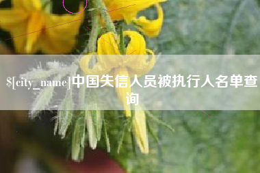 崇左中国失信人员被执行人名单查询