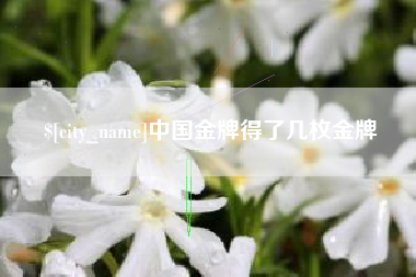 崇左中国金牌得了几枚金牌