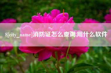 崇左消防证怎么查询,用什么软件