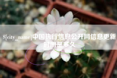 崇左中国执行信息公开网信息更新时间是多久