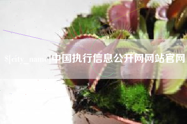 崇左中国执行信息公开网网站官网