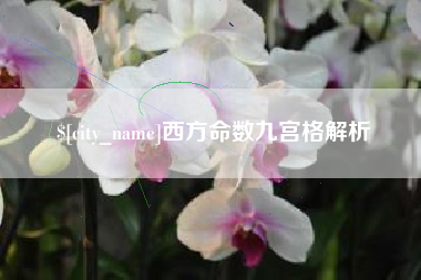 崇左西方命数九宫格解析
