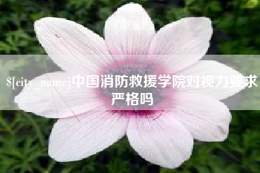 崇左中国消防救援学院对视力要求严格吗