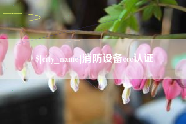 崇左消防设备ccc认证