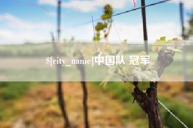 崇左中国队 冠军