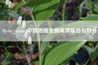 崇左中国地图全图高清版省份划分