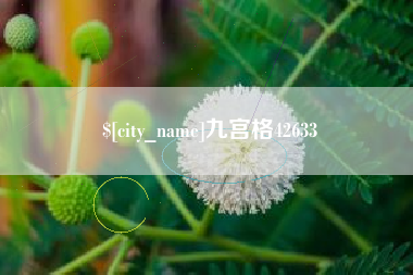 崇左九宫格42633