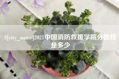 崇左2021中国消防救援学院分数线是多少