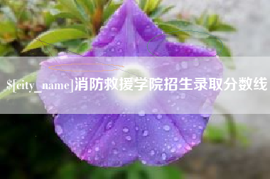 崇左消防救援学院招生录取分数线