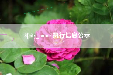 崇左执行信息公示