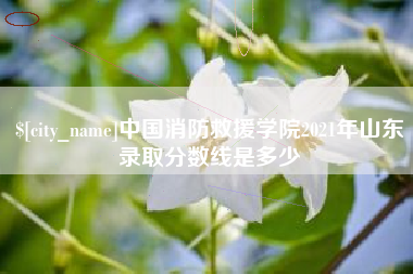 崇左中国消防救援学院2021年山东录取分数线是多少