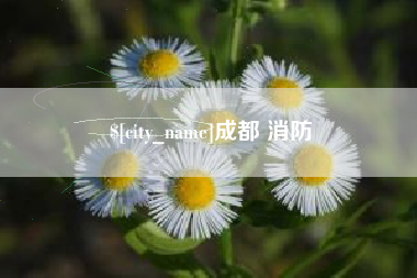 崇左成都 消防