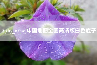 崇左中国地图全图高清版白色底子
