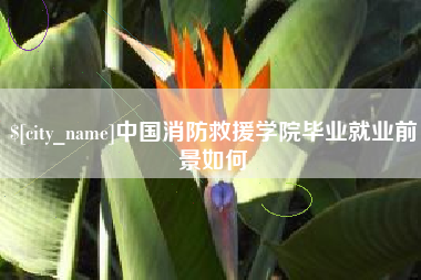 崇左中国消防救援学院毕业就业前景如何