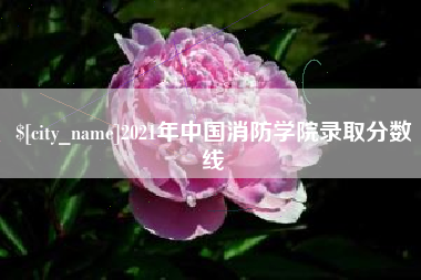 崇左2021年中国消防学院录取分数线