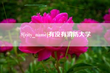 崇左有没有消防大学