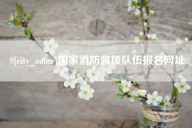 崇左国家消防救援队伍报名网址