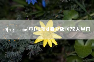 崇左中国地图清晰版可放大黑白