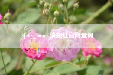崇左消控证官网查询