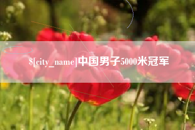 崇左中国男子5000米冠军