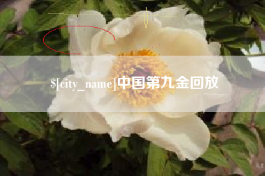 崇左中国第九金回放