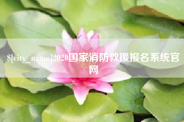 崇左2020国家消防救援报名系统官网