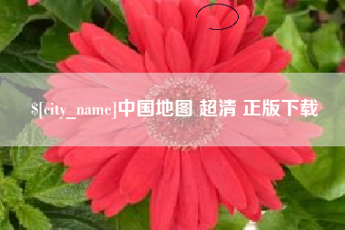 崇左中国地图 超清 正版下载
