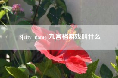 崇左九宫格游戏叫什么